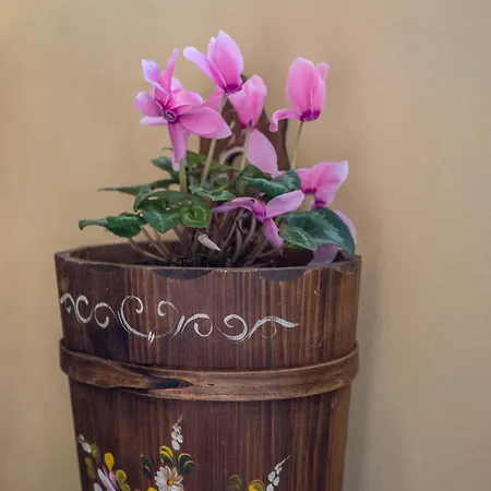 La Mansarda Di Chiara E Silvio Trasquera